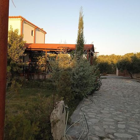 Fοivos And Athina Villas Archanes Eksteriør billede